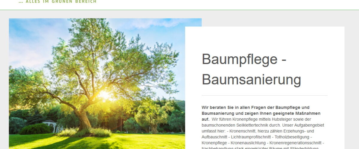 Baumfällung Halfmann
