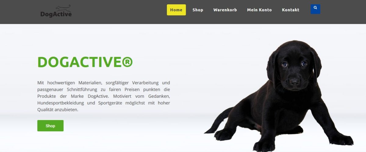 Dogactive
