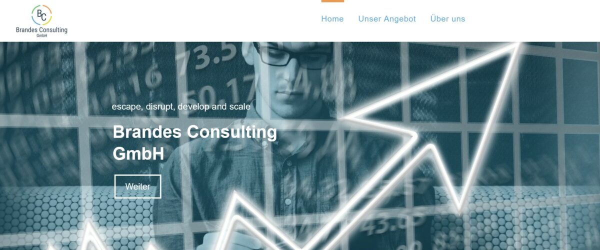 Brandes Consulting GmbH